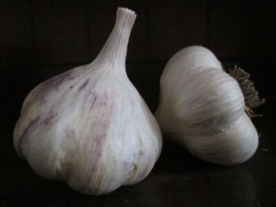 Gourmet Garlic: Artichokes Image